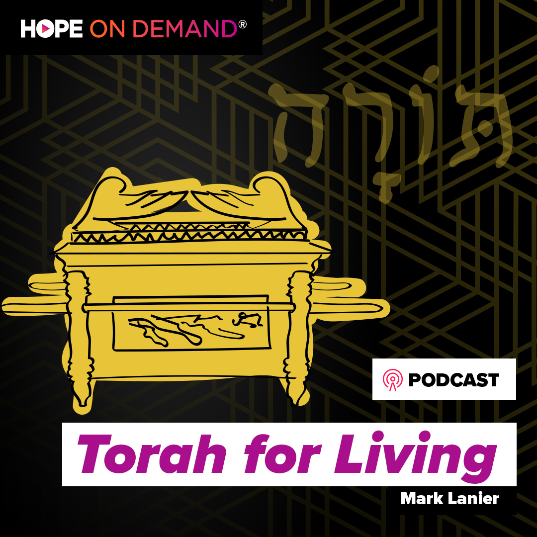 Torah For Living